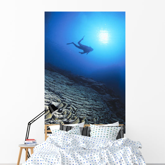 Silhouetted By Sunburst In Blue Ocean Wall Mural