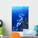 Australia, Schooling Bigeye Trevally, Diver In Background Wall Mural