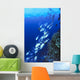 Australia, Schooling Bigeye Trevally, Diver In Background Wall Mural
