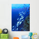 Australia, Schooling Bigeye Trevally, Diver In Background Wall Mural