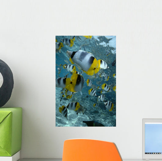Over Reef And Near Surface Wall Mural