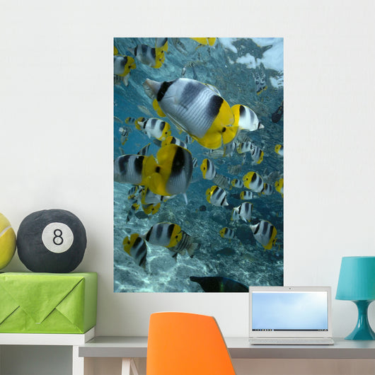 Over Reef And Near Surface Wall Mural