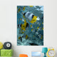Over Reef And Near Surface Wall Mural