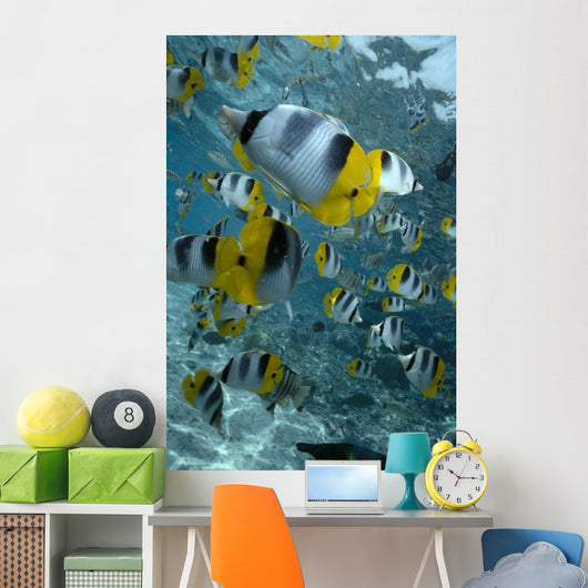 Over Reef And Near Surface Wall Mural