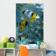 Over Reef And Near Surface Wall Mural