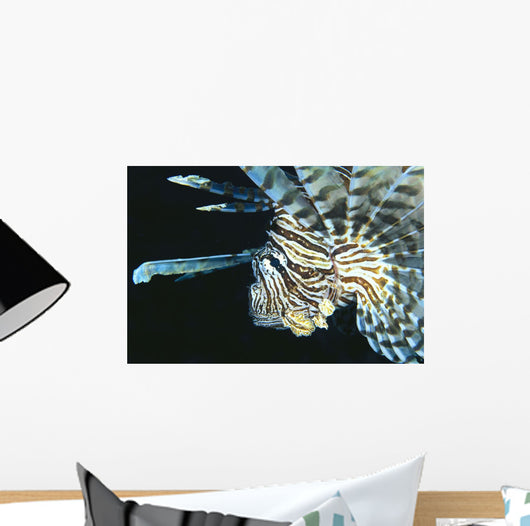 Fiji, Lionfish Side View, Head Detail Wall Mural