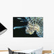 Fiji, Lionfish Side View, Head Detail Wall Mural