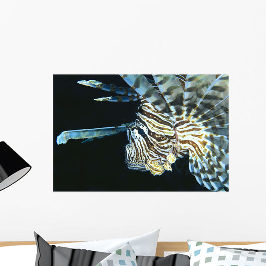 Fiji, Lionfish Side View, Head Detail Wall Mural