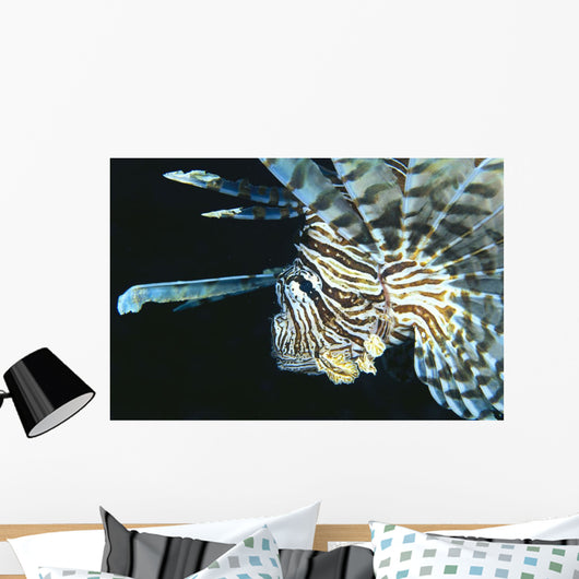 Fiji, Lionfish Side View, Head Detail Wall Mural