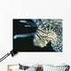 Fiji, Lionfish Side View, Head Detail Wall Mural