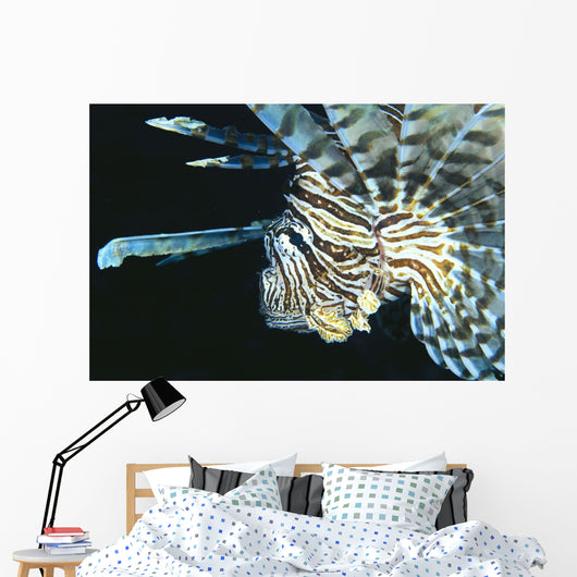 Fiji, Lionfish Side View, Head Detail Wall Mural