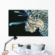 Fiji, Lionfish Side View, Head Detail Wall Mural