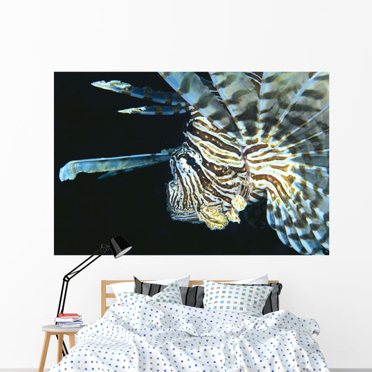 Fiji, Lionfish Side View, Head Detail Wall Mural