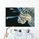 Fiji, Lionfish Side View, Head Detail Wall Mural
