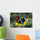 Fiji, Orange-Fin Anemonefish Close-Up Side View Wall Mural