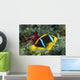 Fiji, Orange-Fin Anemonefish Close-Up Side View Wall Mural