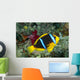 Fiji, Orange-Fin Anemonefish Close-Up Side View Wall Mural