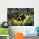 Fiji, Orange-Fin Anemonefish Close-Up Side View Wall Mural