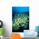 Mexico, Schooling Blue And Gold Snapper Wall Mural