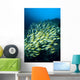 Mexico, Schooling Blue And Gold Snapper Wall Mural