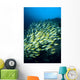 Mexico, Schooling Blue And Gold Snapper Wall Mural