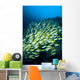 Mexico, Schooling Blue And Gold Snapper Wall Mural