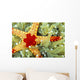 Green With Whitetips Wall Mural