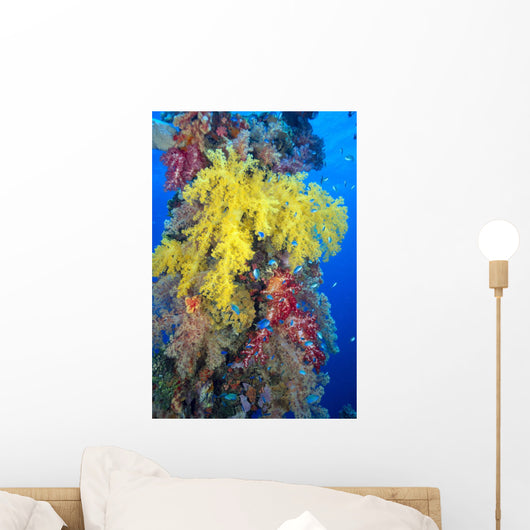 Close-Up Of Yellow And Red Alcyonarian Coral On Life Boat Davit Wall Mural