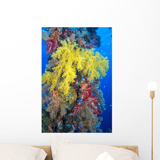 Close-Up Of Yellow And Red Alcyonarian Coral On Life Boat Davit Wall Mural