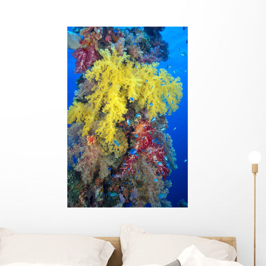 Close-Up Of Yellow And Red Alcyonarian Coral On Life Boat Davit Wall Mural