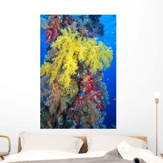 Close-Up Of Yellow And Red Alcyonarian Coral On Life Boat Davit Wall Mural