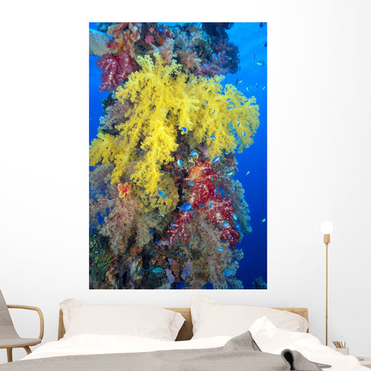 Close-Up Of Yellow And Red Alcyonarian Coral On Life Boat Davit Wall Mural