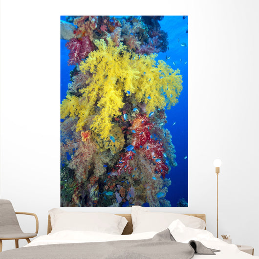 Close-Up Of Yellow And Red Alcyonarian Coral On Life Boat Davit Wall Mural