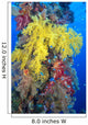 Close-Up Of Yellow And Red Alcyonarian Coral On Life Boat Davit Wall Mural