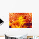 Detailed View Of Orange Tube Coral Wall Mural