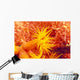 Detailed View Of Orange Tube Coral Wall Mural