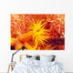 Detailed View Of Orange Tube Coral Wall Mural