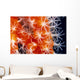 Orange And White Wall Mural