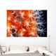 Orange And White Wall Mural
