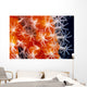 Orange And White Wall Mural