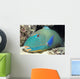 Close-Up Of Bicolor Parrotfish In Crevice On Ocean Floor Wall Mural