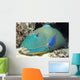 Close-Up Of Bicolor Parrotfish In Crevice On Ocean Floor Wall Mural