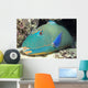 Close-Up Of Bicolor Parrotfish In Crevice On Ocean Floor Wall Mural