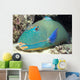 Close-Up Of Bicolor Parrotfish In Crevice On Ocean Floor Wall Mural