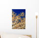 Fiji, Close-Up Of Soft Coral Showing Polyps Feeding Wall Mural