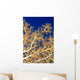 Fiji, Close-Up Of Soft Coral Showing Polyps Feeding Wall Mural