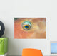 Fiji, Extreme Close-Up Of Female Parrotfish Eye At Night Wall Mural