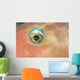 Fiji, Extreme Close-Up Of Female Parrotfish Eye At Night Wall Mural