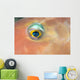 Fiji, Extreme Close-Up Of Female Parrotfish Eye At Night Wall Mural