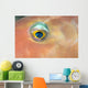 Fiji, Extreme Close-Up Of Female Parrotfish Eye At Night Wall Mural